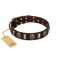 "Skull's Adventure" FDT Artisan Brown Leather Doberman Collar with Plates and Ovals