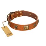"Knights Templar" FDT Artisan Tan Leather Doberman Collar with Skulls and Crossbones Combined with Squares