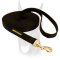 Nylon Dog Leash for Training and Tracking