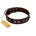 "King Arthur" FDT Artisan Brown Leather Doberman Collar with Spiky Plates