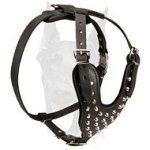 Doberman Studded Leather Dog Harness with Pyramids