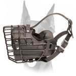 Fully padded rubber covered winter wire cage muzzle for Doberman