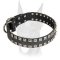 Exquisite design studded leather collar for Doberman
