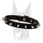 Fancy designed elegant spiked leather collar