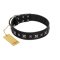 "Polar Lights" Designer FDT Artisan Black Leather Doberman Collar with Silver-Like Studs