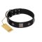 "Black Cavalier" Handmade FDT Artisan Black Leather Doberman Collar with Silver-Like Stars and Large Plates
