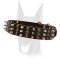 Gorgeous spiked and studded leather collar for Doberman