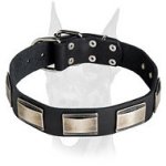 Gorgeous handcrafted leather collar with vintage nickel plates for Doberman
