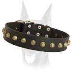 Extra wide gorgeous leather collar with brass pyramids for Doberman