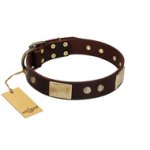 "Middle Age" FDT Artisan Brown Leather Doberman Collar with Old Bronze-Plated Engraved Flowers and Large Plates