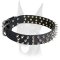 Black Leather Spiked dog Collar for Doberman