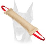 Huge Doberman bite tug of jute