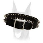 Stylish nylon collar with 2 rows of spikes for Doberman
