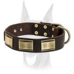 Originally designed leather decorated collar for Doberman