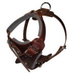 Hands Free Control Dog Harness for Doberman