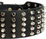 Pyramid Studs on Leather Dog Collar for Doberman