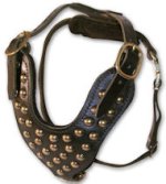 Two-Ply Latigo Dog Harness with Studs for Doberman