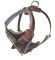 Padded Dog Harness for Doberman-BUY Leather Dog Harness