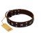 "Bigwig Woof" FDT Artisan Brown Leather Doberman Collar with Chrome Plated Stars and Square Studs