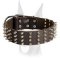 Stylish elegant 2 inch wide spiked leather Doberman collar