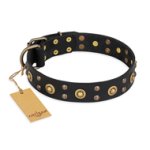 'Cosmic Glow' FDT Artisan Black Leather Doberman Collar with Brass-Plated Studs - 1 1/2 inch (40 mm) wide