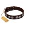 "High and Mighty" FDT Artisan Classy Brown Leather Doberman Collar with Embellished Brooches
