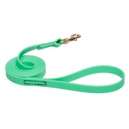 Green Waterproof Doberman Leash Made of Biothane