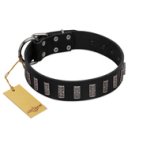 "Black Prince" Handmade FDT Artisan Black Leather Doberman Collar with Silver-Like Adornments