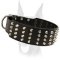Pyramid studded leather 2 inch wide Doberman collar