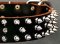 Protector Full Spiked Latigo Dog Collar for Doberman