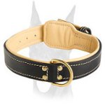 Gorgeous Nappa padded leather Doberman collar