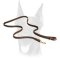 Leather dog leash stitched for Doberman