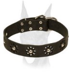 Spring Fashion Leather Doberman Collar for Stylish Walks