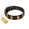 "Doggie Woggie" Designer Handmade FDT Artisan Black Leather Doberman Collar with Ovals and Studs