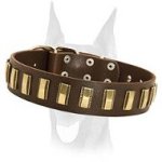 Luxury leather collar with brass plates for your Doberman