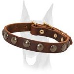 Stunning design leather studded Doberman collar