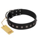 "Natural Beauty" Premium Quality FDT Artisan Black Designer Doberman Collar with Dotted Studs