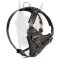 Adjustable Leather Dog Harness for Doberman Training and Daily Walking