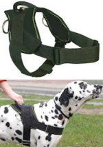 Best Dog Training Harness for DOBERMAN