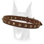 Leather decorated collar with attractive brass studs for Doberman