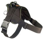 Looking for EzyDog Harness for Doberman