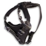 Have Leather Agitation Harness for Doberman