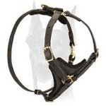 Perfect Fit Stylish Leather Doberman Harness