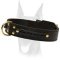 Amazing extra wide 2ply leather Doberman collar