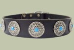Leather Designer dog collar for DOBERMAN