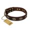 'Chocolate kiss' FDT Artisan Leather Doberman Collar with Old Bronze Look Oval Plates