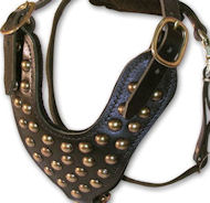 2 Ply Studded Leather Dog Harness for Doberman