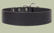 2 inch wide All Weather Collar for Doberman-Leather Collar