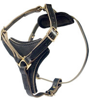 2-ply Latigo Leather Harness for Doberman