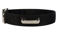 Looking for 2 Ply Nylon Dog Collar w/h name tag/Metal Buckle